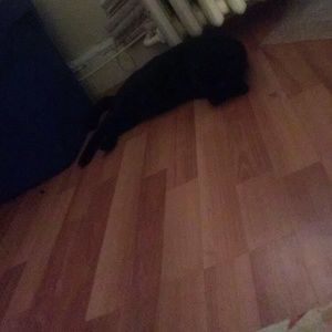 Meet your Posher, Senie